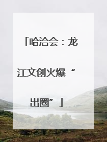 哈洽会：龙江文创火爆“出圈”