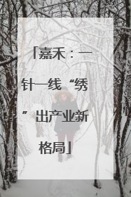 嘉禾：一针一线“绣”出产业新格局