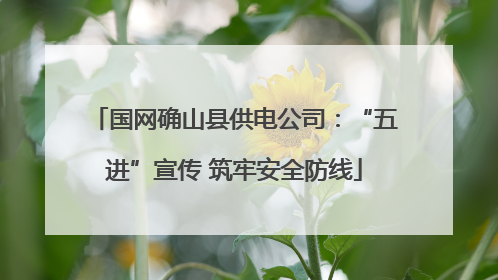 国网确山县供电公司：“五进”宣传 筑牢安全防线