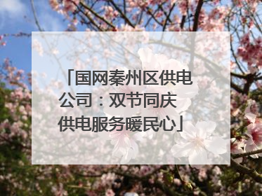 国网秦州区供电公司：双节同庆 供电服务暖民心