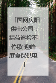 国网庆阳供电公司：精益巡检不停歇 迎峰度夏保供电