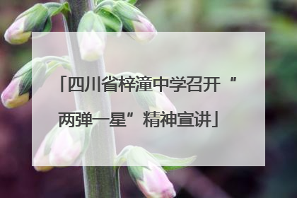四川省梓潼中学召开“两弹一星”精神宣讲