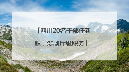 四川20名干部任新职，涉副厅级职务