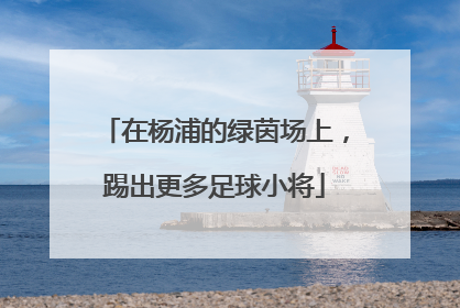 在杨浦的绿茵场上，踢出更多足球小将