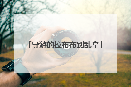 导游的拉布布别乱拿