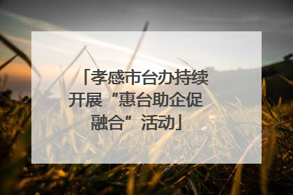 孝感市台办持续开展“惠台助企促融合”活动