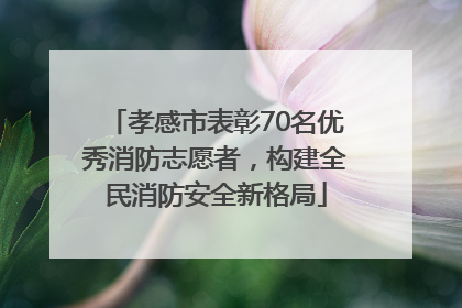 孝感市表彰70名优秀消防志愿者，构建全民消防安全新格局
