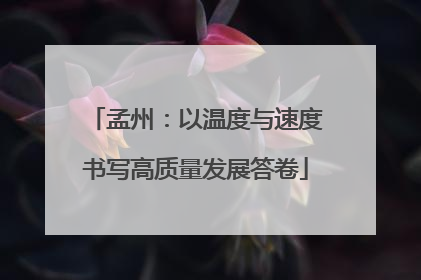 孟州：以温度与速度书写高质量发展答卷