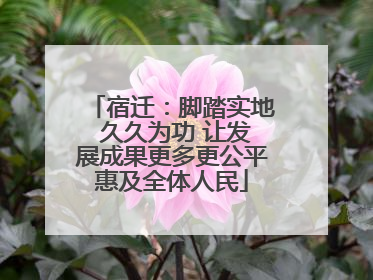 宿迁：脚踏实地 久久为功 让发展成果更多更公平惠及全体人民