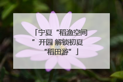 宁夏“稻渔空间”开园 解锁初夏“稻田游”