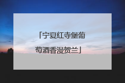 宁夏红寺堡葡萄酒香漫贺兰