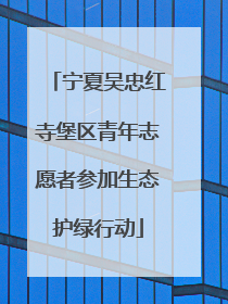 宁夏吴忠红寺堡区青年志愿者参加生态护绿行动
