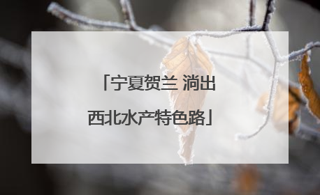 宁夏贺兰 淌出西北水产特色路