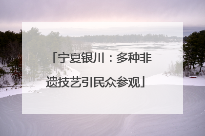宁夏银川：多种非遗技艺引民众参观