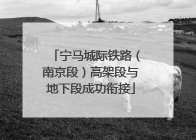 宁马城际铁路（南京段）高架段与地下段成功衔接
