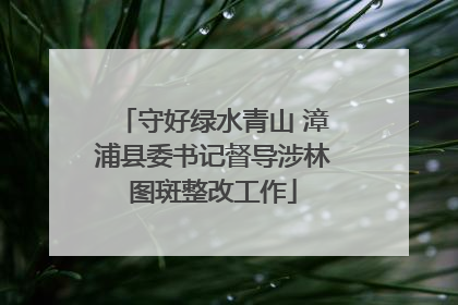 守好绿水青山 漳浦县委书记督导涉林图斑整改工作