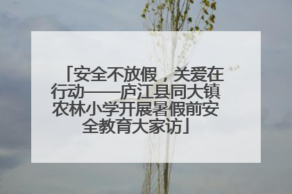 安全不放假，关爱在行动——庐江县同大镇农林小学开展暑假前安全教育大家访