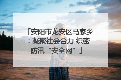 安阳市龙安区马家乡：凝聚社会合力 织密防汛“安全网”