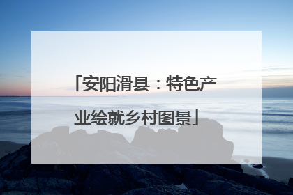 安阳滑县：特色产业绘就乡村图景