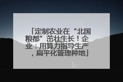 定制农业在“北国粮都”茁壮生长！企业：用算力指导生产，扁平化管理种地