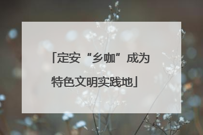定安“乡咖”成为特色文明实践地