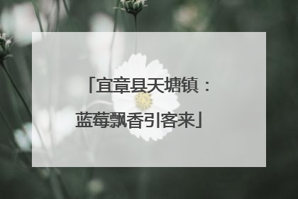 宜章县天塘镇：蓝莓飘香引客来