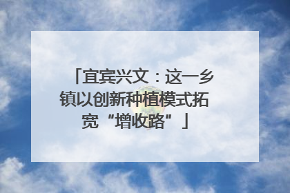 宜宾兴文：这一乡镇以创新种植模式拓宽“增收路”