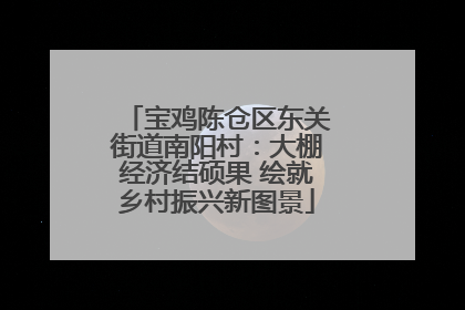 宝鸡陈仓区东关街道南阳村：大棚经济结硕果 绘就乡村振兴新图景