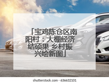 宝鸡陈仓区南阳村：大棚经济结硕果 乡村振兴绘新图