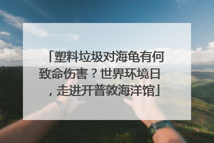 塑料垃圾对海龟有何致命伤害？世界环境日，走进开普敦海洋馆