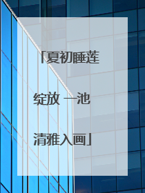 夏初睡莲绽放 一池清雅入画