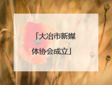 大冶市新媒体协会成立