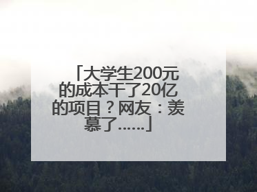 大学生200元的成本干了20亿的项目？网友：羡慕了……