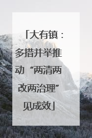 大有镇：多措并举推动“两清两改两治理”见成效