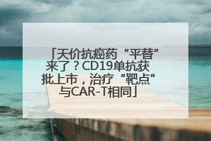 天价抗癌药“平替”来了？CD19单抗获批上市，治疗“靶点”与CAR-T相同