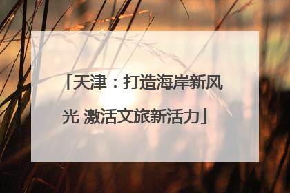 天津：打造海岸新风光 激活文旅新活力