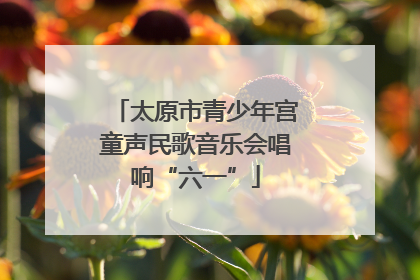 太原市青少年宫童声民歌音乐会唱响“六一”