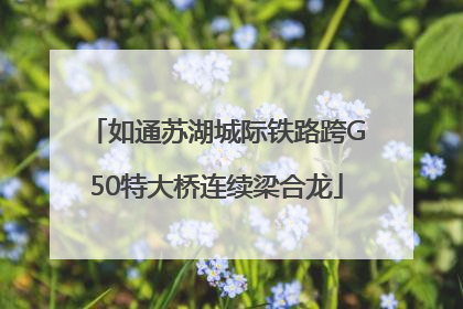 如通苏湖城际铁路跨G50特大桥连续梁合龙