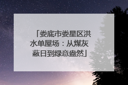 娄底市娄星区洪水单屋场：从煤灰蔽日到绿意盎然