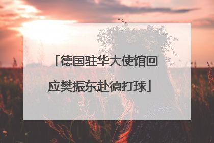德国驻华大使馆回应樊振东赴德打球