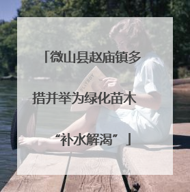 微山县赵庙镇多措并举为绿化苗木“补水解渴”