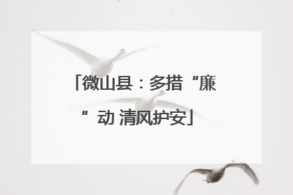 微山县：多措“廉”动 清风护安