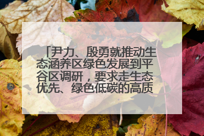 尹力、殷勇就推动生态涵养区绿色发展到平谷区调研，要求走生态优先、绿色低碳的高质量发展之路