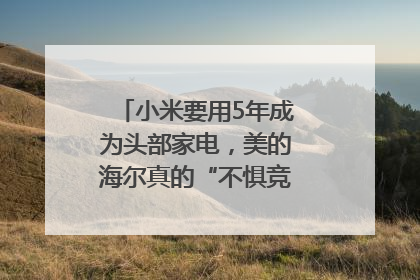 小米要用5年成为头部家电，美的海尔真的“不惧竞争”？｜热财经