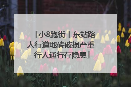 小8跑街丨东站路人行道地砖破损严重 行人通行存隐患