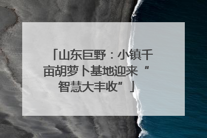 山东巨野：小镇千亩胡萝卜基地迎来“智慧大丰收”