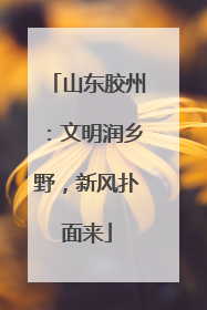 山东胶州：文明润乡野，新风扑面来