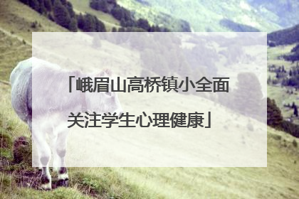 峨眉山高桥镇小全面关注学生心理健康