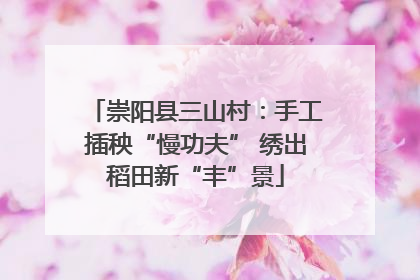 崇阳县三山村：手工插秧“慢功夫” 绣出稻田新“丰”景