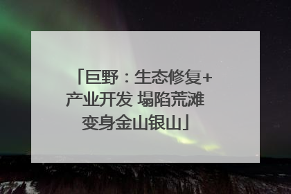 巨野：生态修复+产业开发 塌陷荒滩变身金山银山